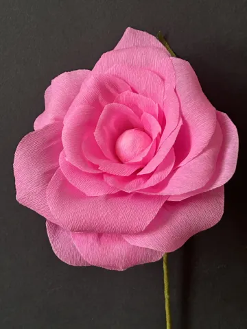 hot pink camelia paper flower